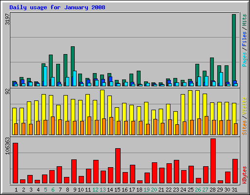 Daily usage for January 2008