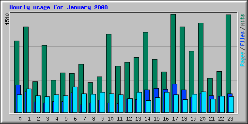 Hourly usage for January 2008