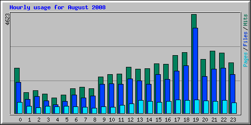 Hourly usage for August 2008